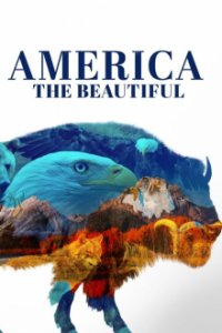 Cover Das schöne Amerika, Poster