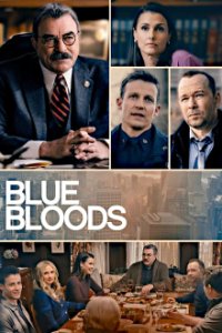Cover Blue Bloods - Crime Scene New York, Poster