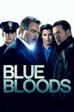 Cover Blue Bloods - Crime Scene New York, Poster, Stream