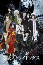 Cover Bungou Stray Dogs, Poster Bungou Stray Dogs