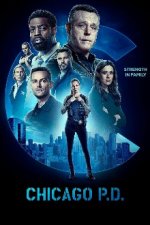 Cover Chicago P.D., Poster, Stream