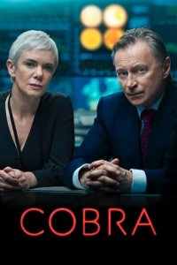 COBRA Cover, Poster, COBRA DVD
