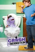 Cover Crash & Bernstein, Poster Crash & Bernstein