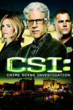 Cover CSI: Den Tätern auf der Spur, Poster, Stream