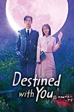 Cover Destined With You, Poster, Stream