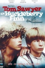 Cover Die Abenteuer von Tom Sawyer und Huckleberry Finn, Poster, Stream