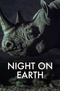 Die Erde bei Nacht Cover, Online, Poster