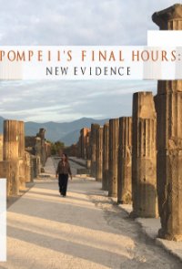 Cover Die letzten Tage von Pompeji, Poster