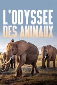 Die Odyssee der Tiere Cover, Die Odyssee der Tiere Poster