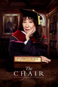 Die Professorin Cover, Poster, Die Professorin DVD