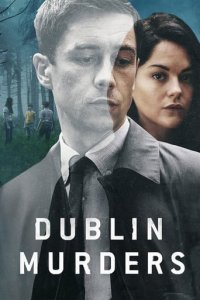 Cover Dublin Murders, Poster