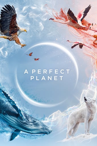 Ein perfekter Planet, Cover, HD, Serien Stream, ganze Folge