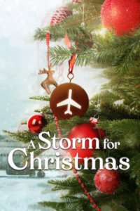 Ein Sturm zu Weihnachten Cover, Online, Poster