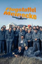 Cover Flugstaffel Meinecke, Poster, Stream