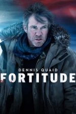 Cover Fortitude, Poster, Stream