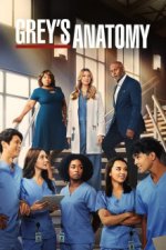 Cover Grey's Anatomy - Die jungen Ärzte, Poster, Stream