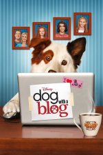 Cover Hund mit Blog, Poster, Stream