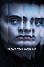 Cover I Love You, Now Die – The Commonwealth vs. Michelle Carter, Poster, Stream