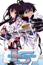 Cover IS: Infinite Stratos, Poster, Stream