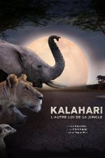 Cover Kalahari: Land der geheimen Allianzen, Poster, Stream