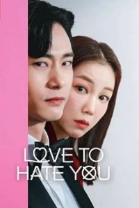 Cover Love to Hate You, TV-Serie, Poster