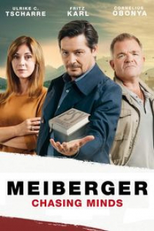Meiberger - Im Kopf des Täters, Cover, HD, Serien Stream, ganze Folge