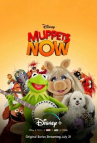 Muppets Now Cover, Poster, Muppets Now