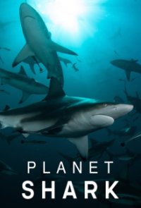 Planet Hai Cover, Planet Hai Poster