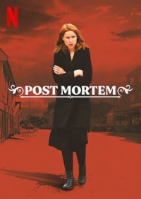 Post Mortem: In Skarnes stirbt niemand Cover, Poster, Post Mortem: In Skarnes stirbt niemand DVD