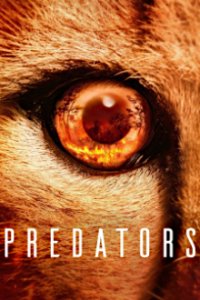 Cover Predators - Jäger in Gefahr, TV-Serie, Poster