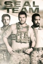 Cover SEAL Team, Poster, Stream