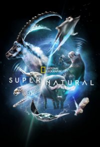Super/Natural Cover, Poster, Super/Natural