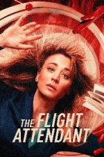 Cover The Flight Attendant, Poster, Stream