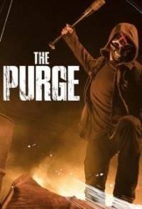 The Purge Cover, Poster, The Purge DVD