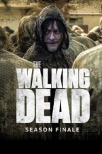 Cover The Walking Dead, Poster, Stream