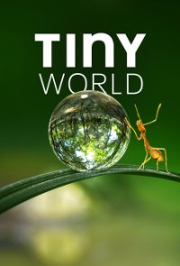 Cover Tiny World, Poster