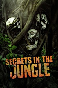 Cover Verborgen im Dschungel, Poster Verborgen im Dschungel, DVD
