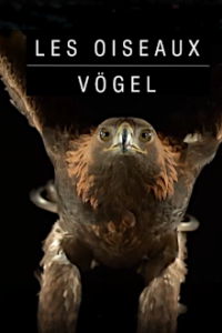 Vögel Cover, Stream, TV-Serie Vögel