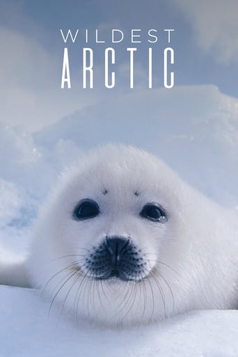 Wilde Arktis, Cover, HD, Serien Stream, ganze Folge
