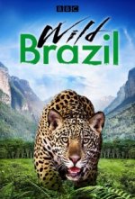 Cover Wildes Brasilien, Poster, Stream