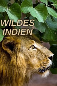 Cover Wildes Indien, TV-Serie, Poster