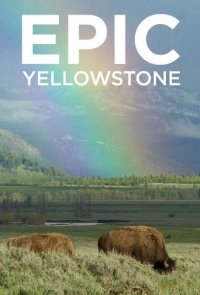 Yellowstone – Park der Extreme Cover, Yellowstone – Park der Extreme Poster